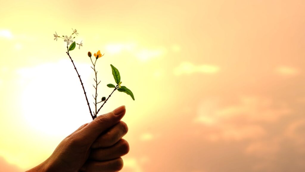 Mão segurando flores ao pôr do sol, simbolizando gratidão e transitoriedade.