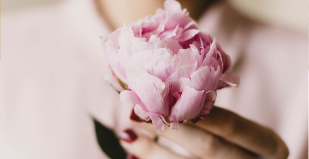 Mulher segurando delicadamente uma flor rosa, símbolo de afeto e acolhimento