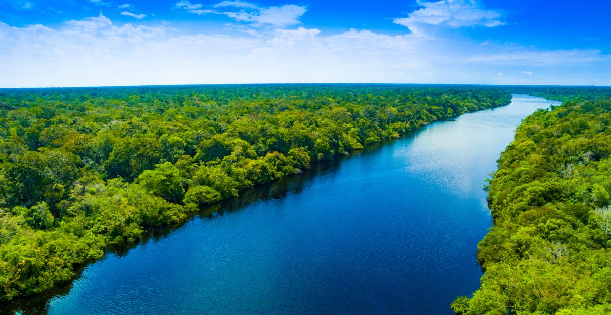 Vista aérea da floresta amazônica e rio azul em Belém, Pará, local da COP30.